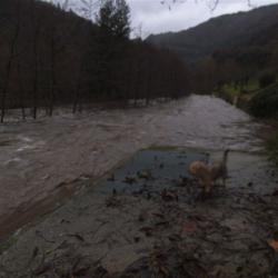 28 11 2014 chemin vers camping